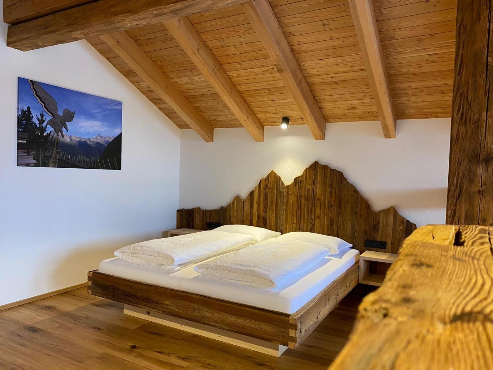 圣贾科莫Tischlerhof Alpine Living公寓 外观 照片